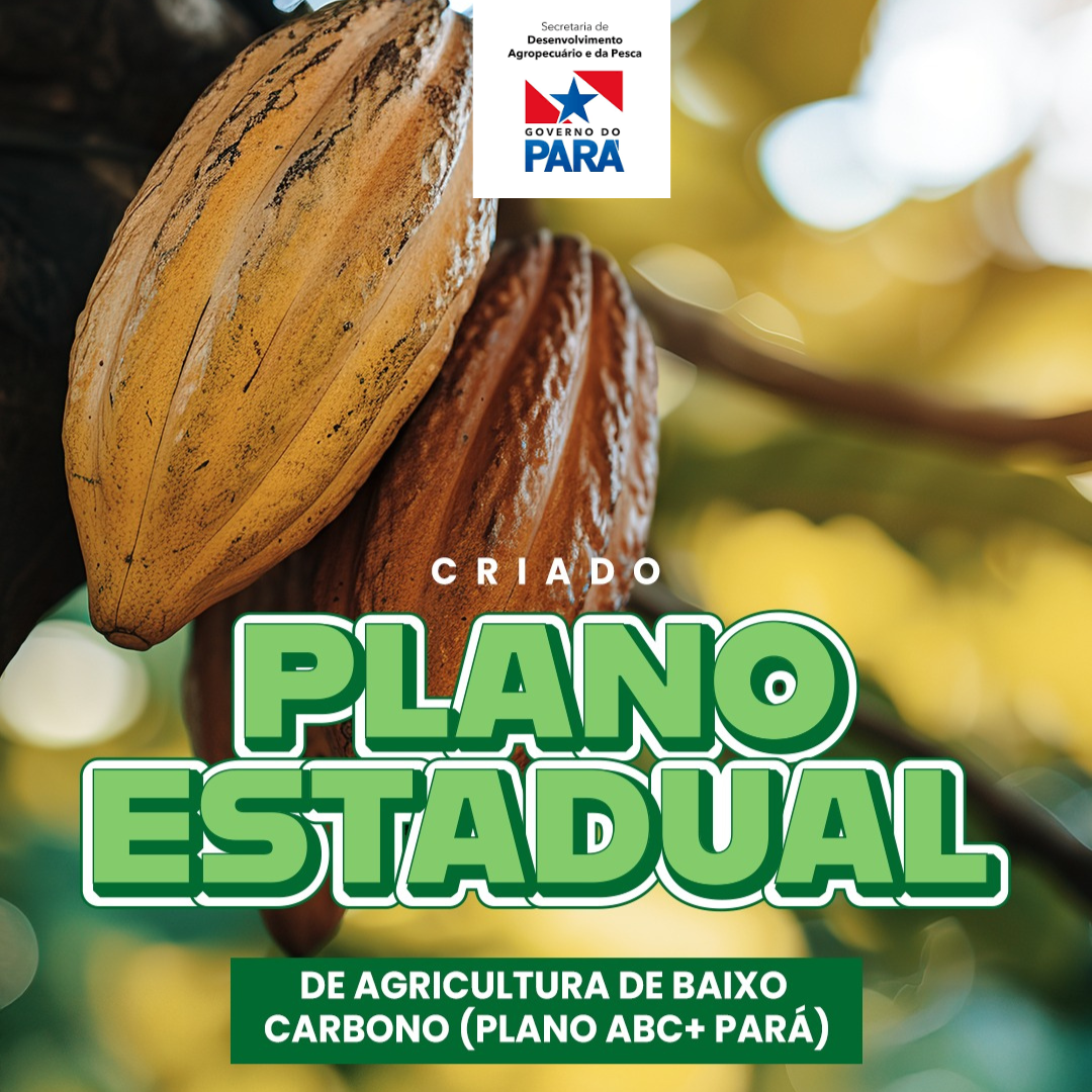 Plano ABC+ Pará