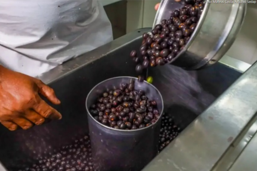 Formação de batedores