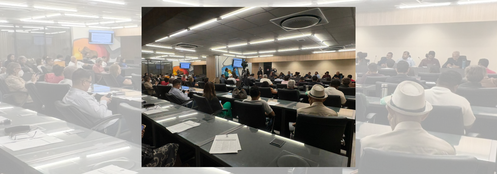 Pará instala comitê para modernizar e fiscalizar a cadeia do açaí