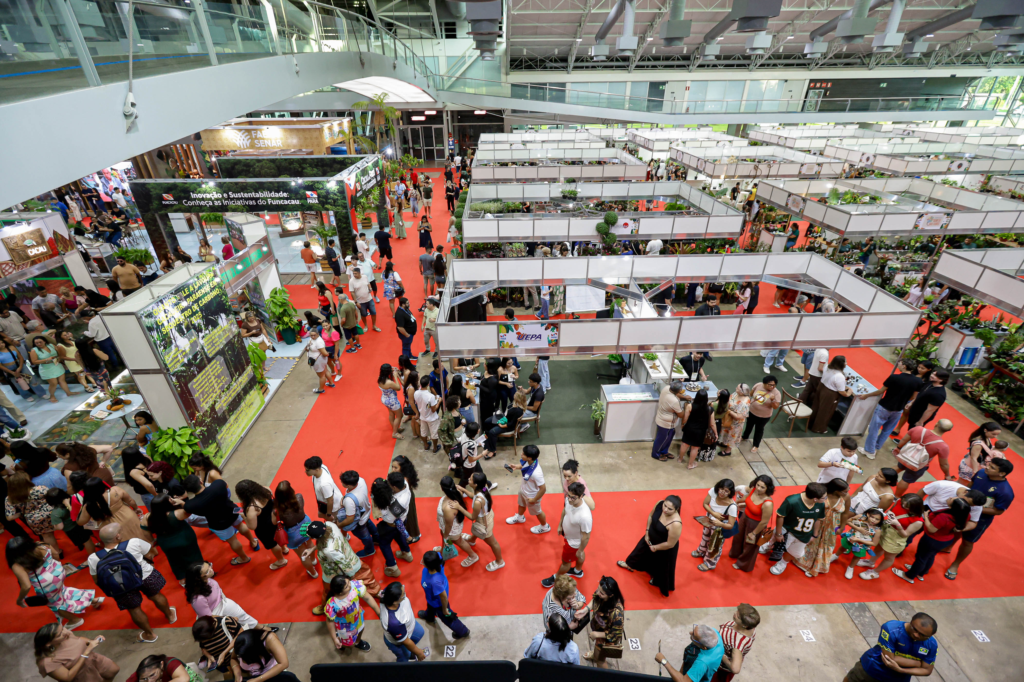 Festival do Chocolate 2026