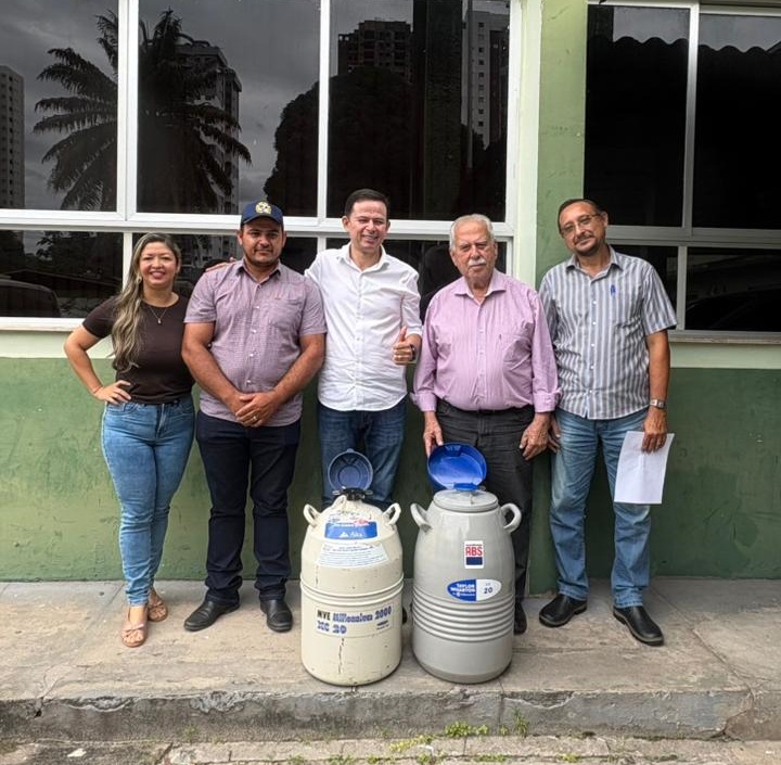 entrega de semen de touro 