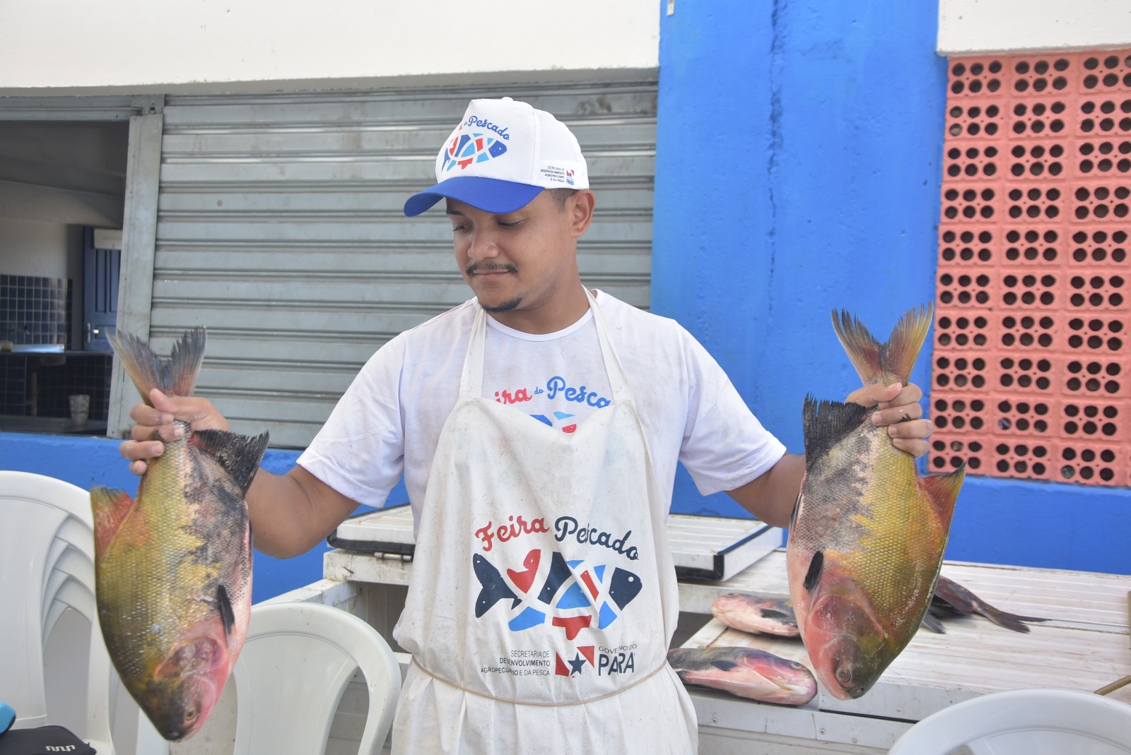 Feira do Pescado 2025