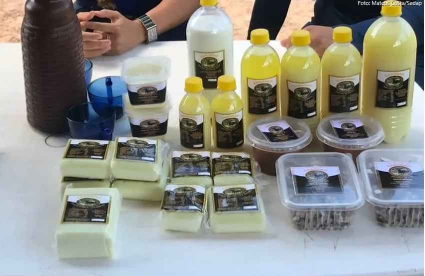 Foto: Mateus Costa / Ascom Sedap