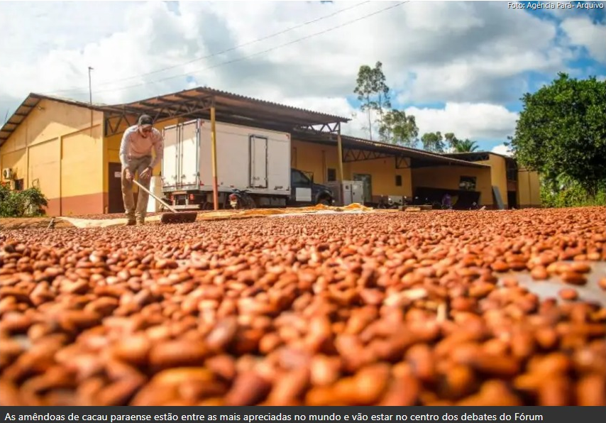 Foto: Mateus Costa / Ascom Sedap