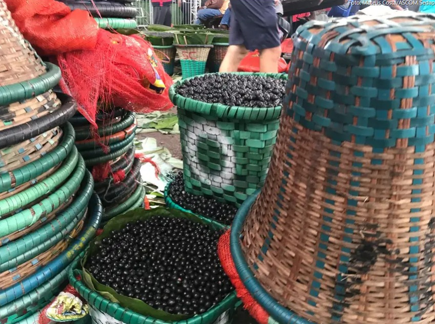 Foto: Mateus Costa / Ascom Sedap