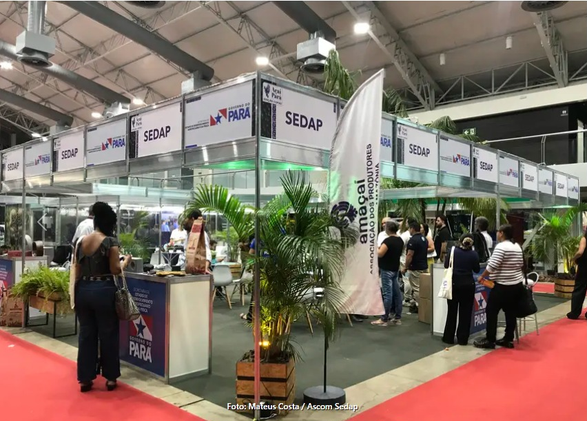 Foto: Mateus Costa / Ascom Sedap