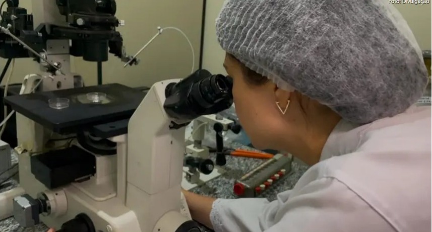 Foto: Mateus Costa / Ascom Sedap