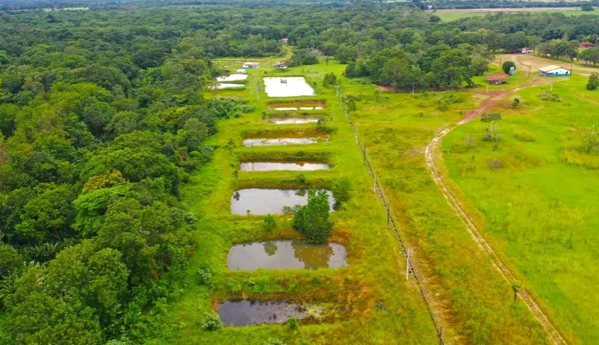 Foto: Mateus Costa / Ascom Sedap