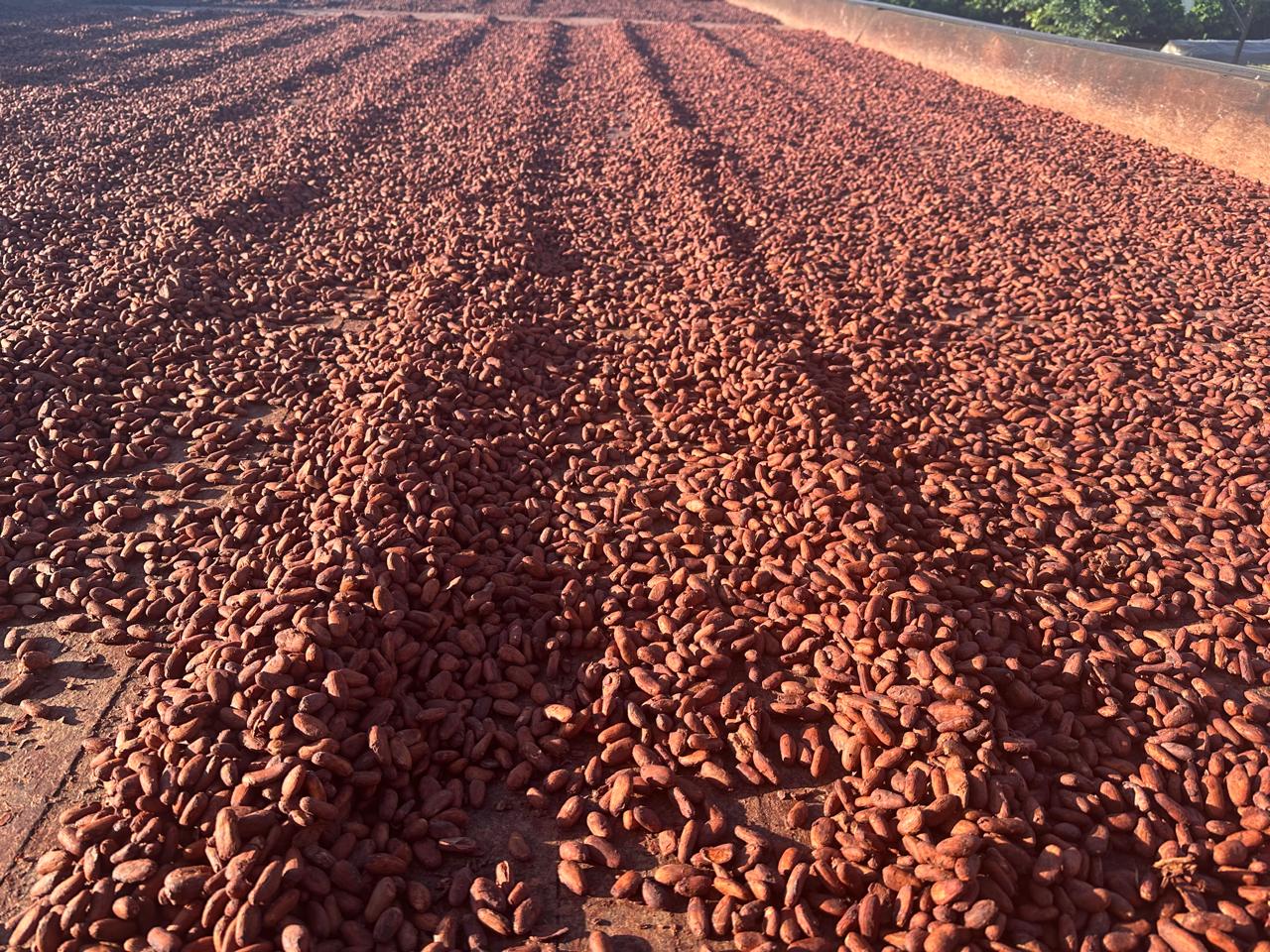 Foto: Mateus Costa / Ascom Sedap