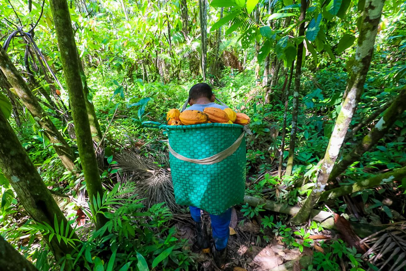 Foto Pedro Guerreiro / Ag Pará