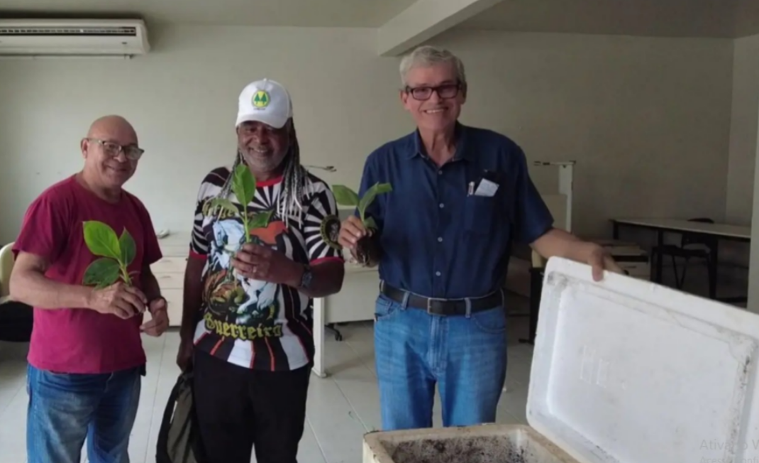 Foto: Mateus Costa / Ascom Sedap