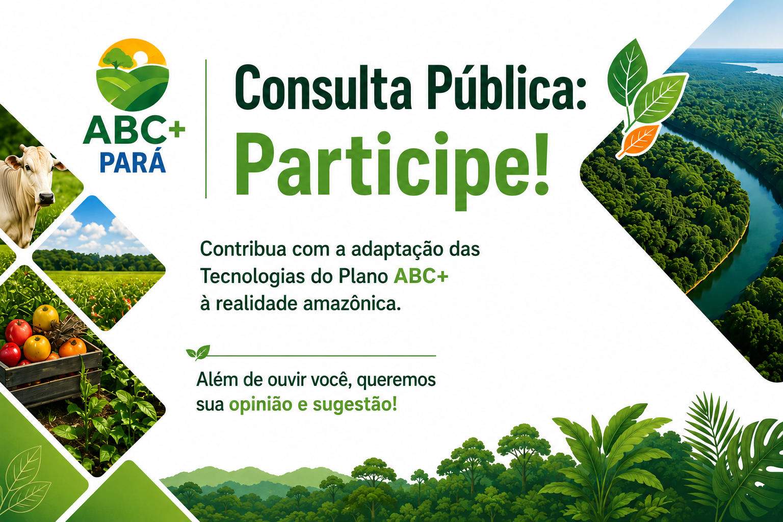 Foto: Mateus Costa / Ascom Sedap