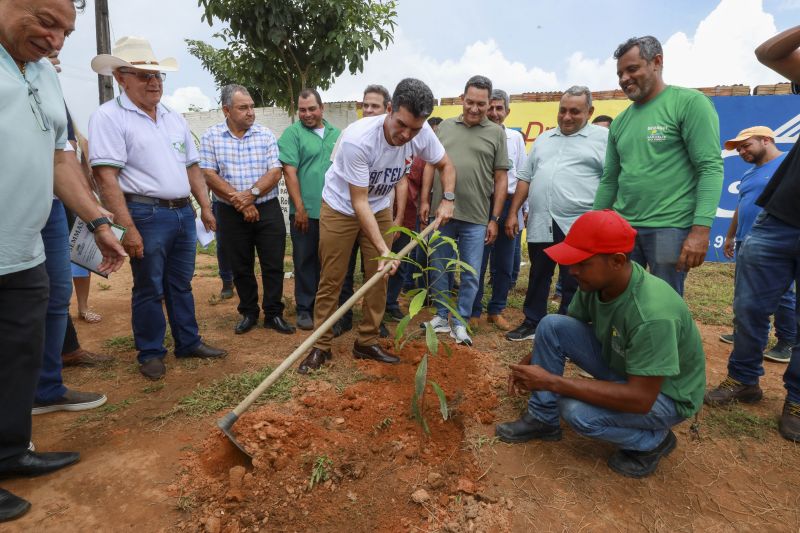 Foto Alex Ribeiro/Ag. Pará