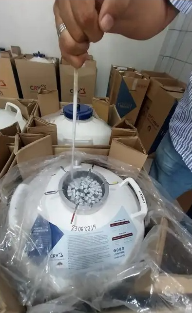 mateus costa / ascom sedap