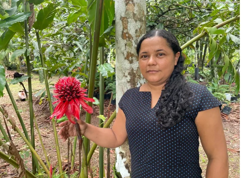 mateus costa / ascom sedap