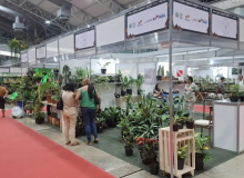 Feira do Chocolate Amazônia e Flor Pará 2025