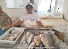 Feira do Pescado 2025