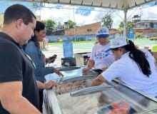 Feira do Pescado 2024