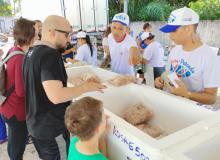 Feira do Pescado 2024