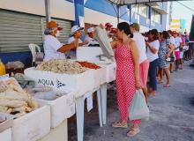 Feira do Pescado 2024