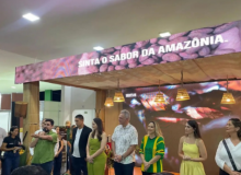 Chocolat Xingu 2026