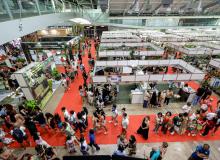 Festival Chocolate e Flor Pará 2026