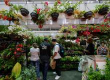 Festival Chocolate e Flor Pará 2026