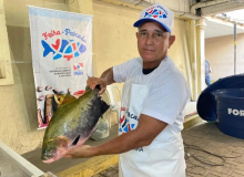 Feira do Pescado 2025
