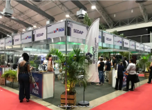 Festival Açaí Pará 2025