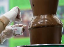 Festival Chocolate e Flor Pará 2026