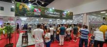 Stand de cacau e chocolate paraense