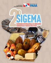 sigema