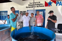 Fortalecimento da aquicultura