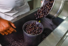 Formação de batedores